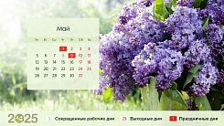 Режим работы магазина «Лотостент» в майские праздники 2025!
